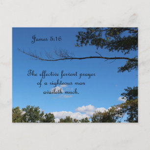 James 5:16 The effectual fervent prayer of Postcard