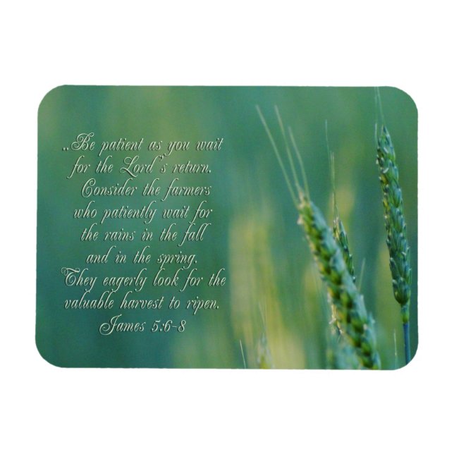 James 5:6-8 Perseverance Inspirational Magnet (Horizontal)