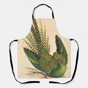 James Sowerby Ground Parrot, Psittacus terrestris Apron