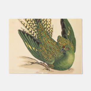 James Sowerby Ground Parrot, Psittacus terrestris  Doormat