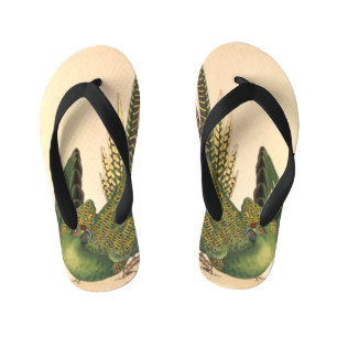James Sowerby Ground Parrot, Psittacus terrestris Kid's Thongs