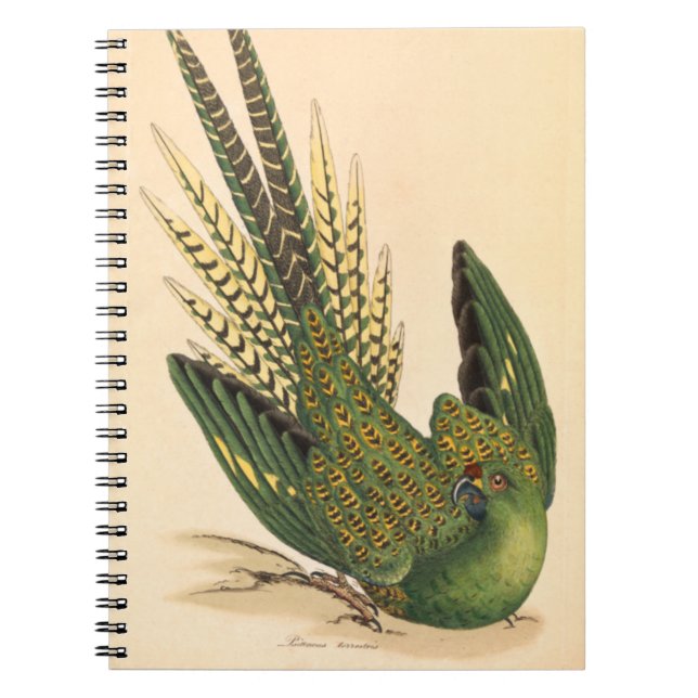 James Sowerby Ground Parrot, Psittacus terrestris  Notebook (Front)