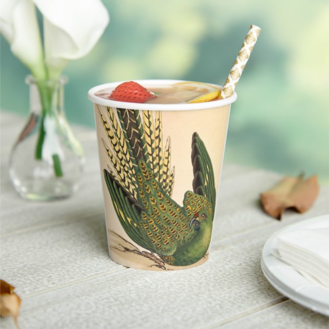 James Sowerby Ground Parrot, Psittacus terrestris  Paper Cups (Insitu)