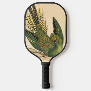 James Sowerby Ground Parrot, Psittacus terrestris Pickleball Paddle