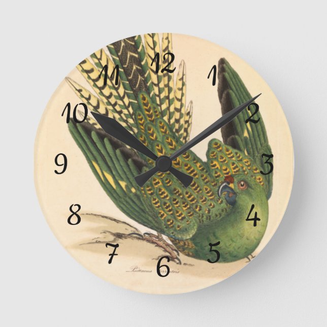 James Sowerby Ground Parrot, Psittacus terrestris  Round Clock (Front)