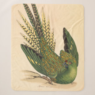 James Sowerby Ground Parrot, Psittacus terrestris Sherpa Blanket