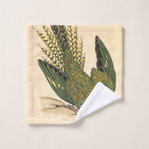 James Sowerby Ground Parrot, Psittacus terrestris Wash Cloth