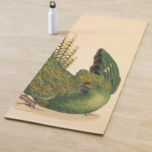 James Sowerby Ground Parrot, Psittacus terrestris Yoga Mat