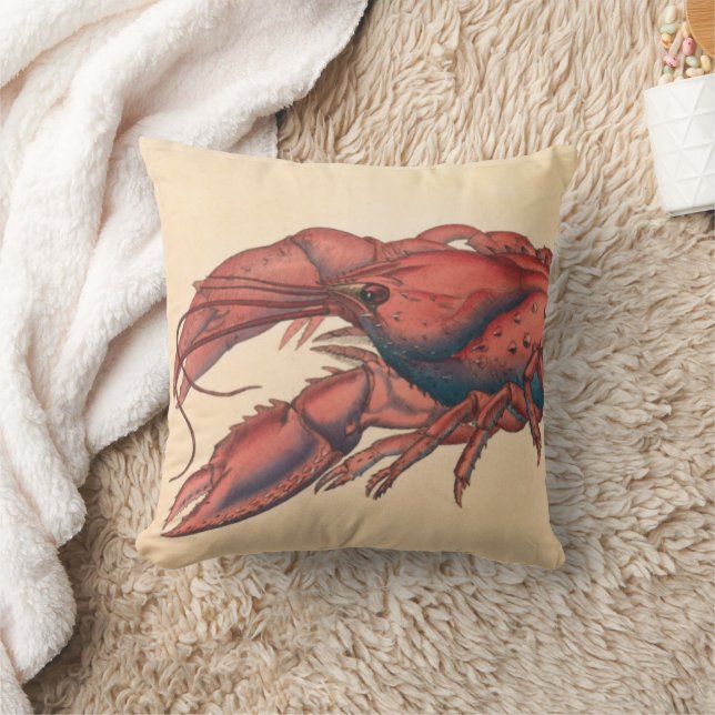 James Sowerby  Serrated Lobster   Cushion (Blanket)