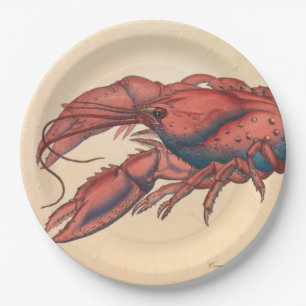James Sowerby  Serrated Lobster   Paper Plate