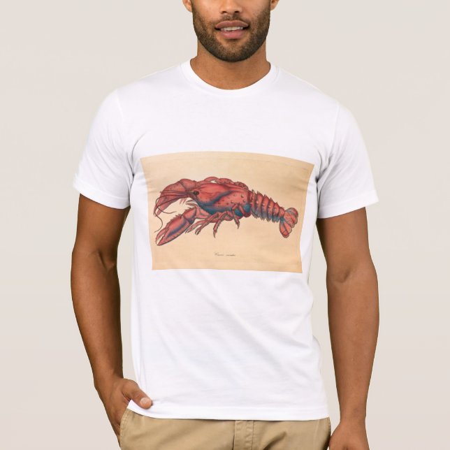 James Sowerby  Serrated Lobster    T-Shirt (Front)