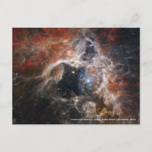 James Webb Tarantula Nebula Hi-Res Image 2022 Postcard