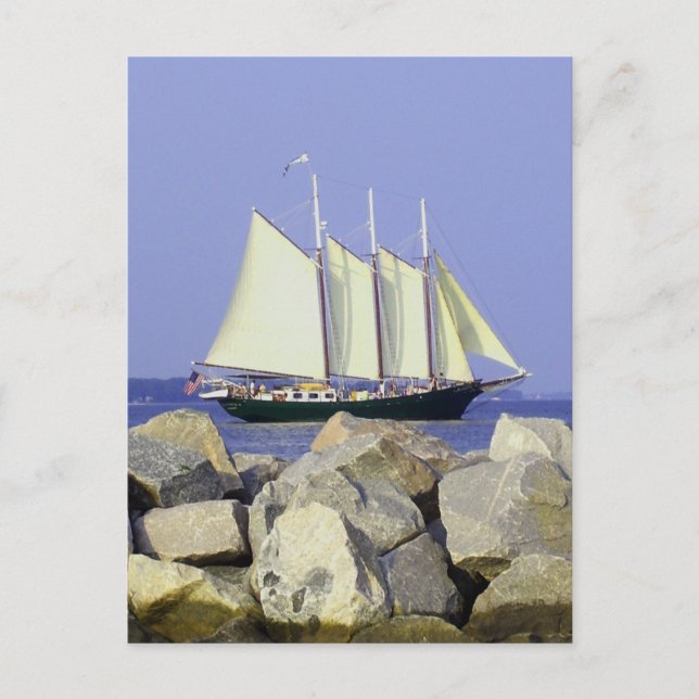 Jamestown Sailboat Postcard (Front)