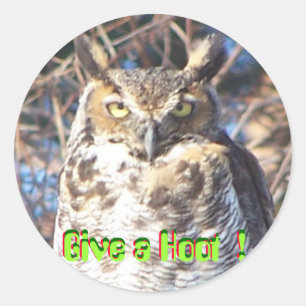 jan112009 009, Give a Hoot !, Give a Hoot !, ... Classic Round Sticker
