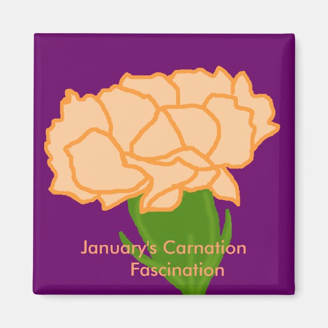 Jan carnation Fascination  magnet (Front)