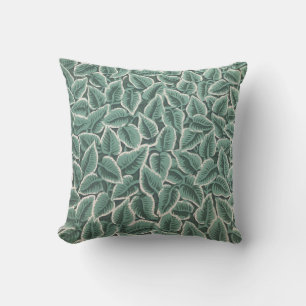 Jane Austen Home Cushion
