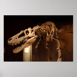 Jane - View #6 Poster