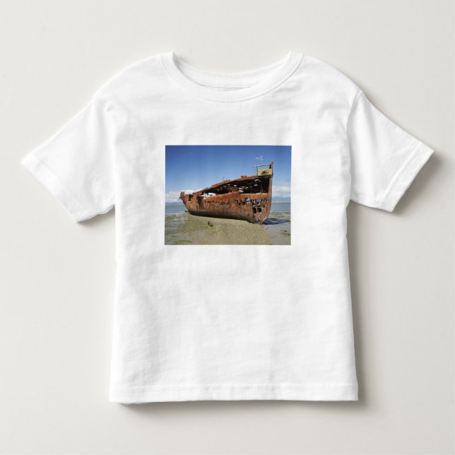 Janie Seddon Shipwreck, Motueka, Nelson Toddler T-Shirt (Front)