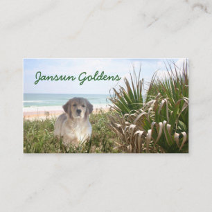 Jansun Goldens Business Card