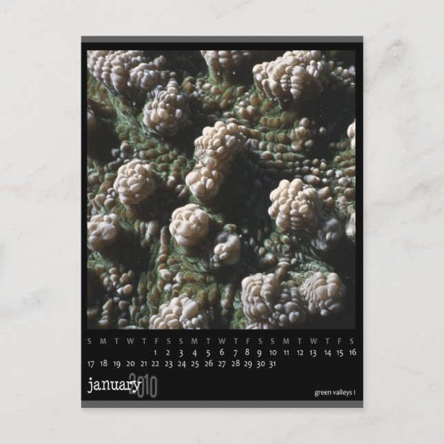 january 2010 calendar postcard (Front)