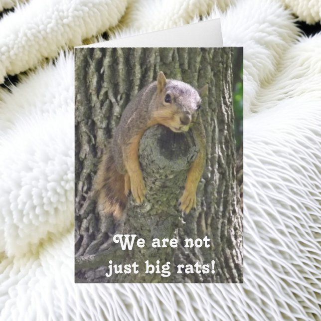 January 21st is National Squirrel Appreciation Day Card (Creator Uploaded)