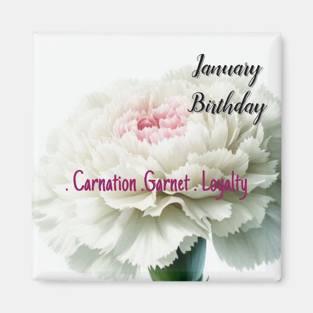 January Birthday Blooms Carnation and Garnet Magnet (Front)