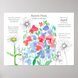 January Birthday Carnations Birth Month Flower Pos Poster