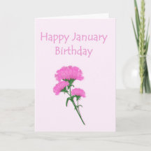 January Birthday Carnations