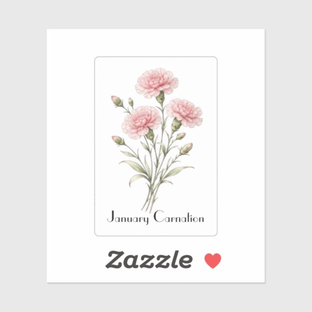 January Carnation Flowers  (Sheet)