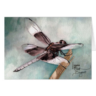 January Dragonfly