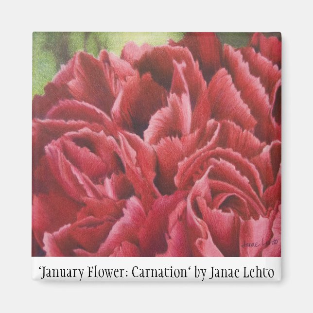 "January Flower: Carnation" Magnet (Front)