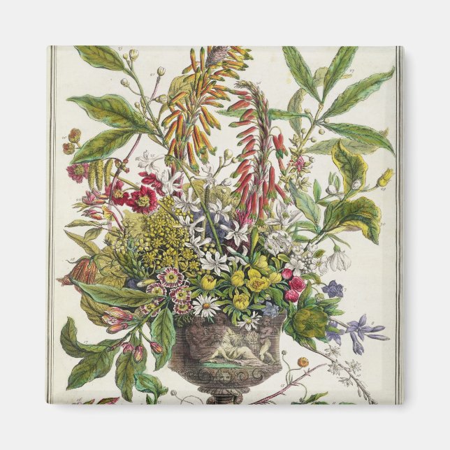 January, from `Twelve Months of Flowers' Magnet (Front)