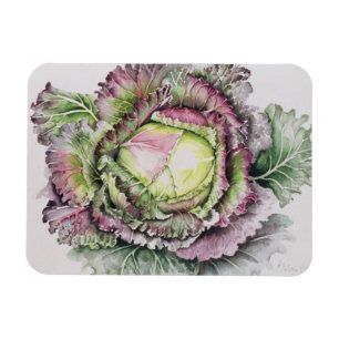 January King Cabbage Magnet