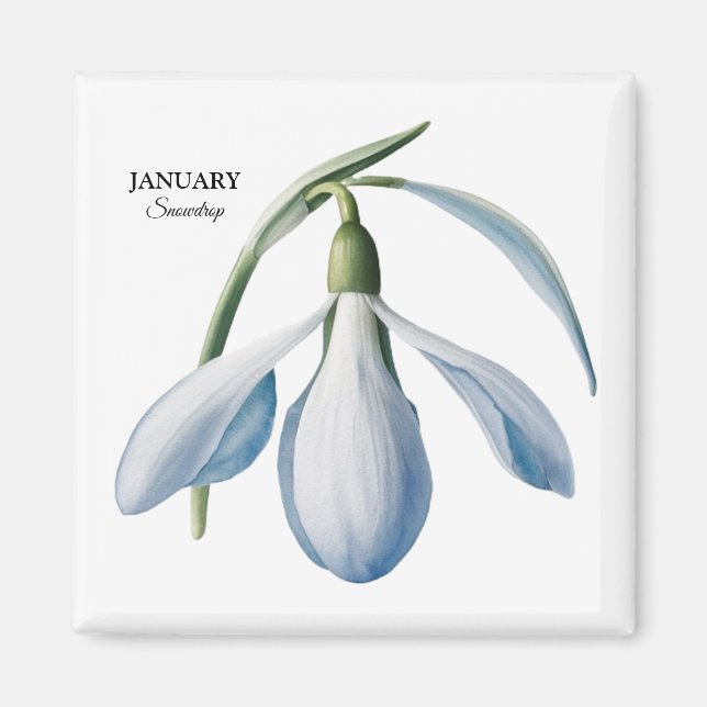 January Snowdrop Bloom - Personalized Gift Magnet (Front)