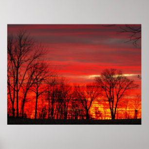 January Sunset Poster