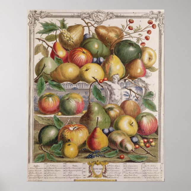 January, 'Twelve Months of Fruits' Poster (Front)