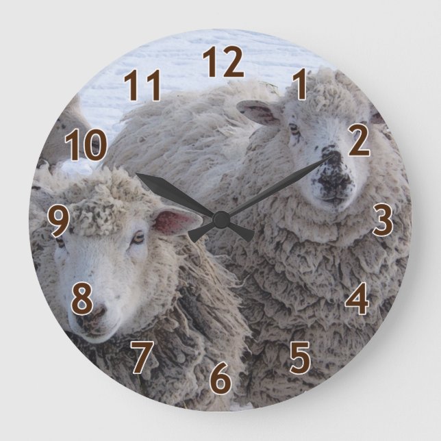 January Two Sheep Faces Large Clock (Front)