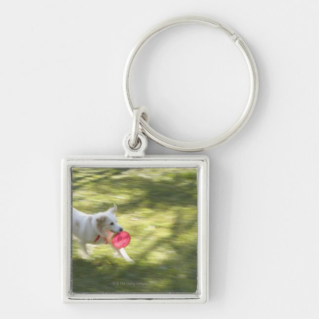 Japan 2 key ring (Front)