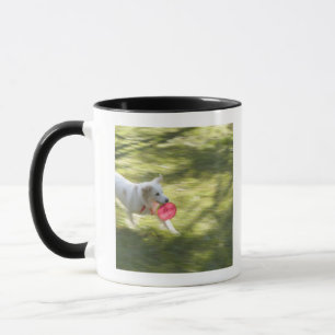 Japan 2 mug