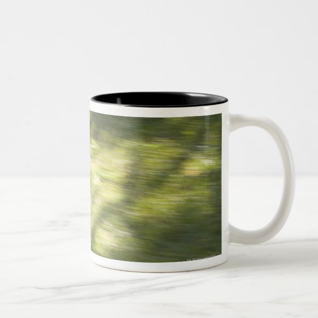 Japan 2 Two-Tone coffee mug (Right)
