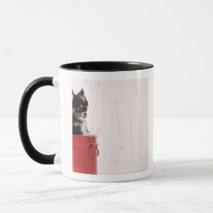 Japan 4 mug