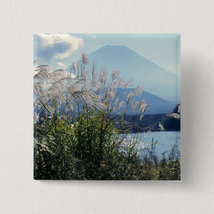 Japan, Honshu, Yamanashi Pref., Fuji-Hakone-Izu 15 Cm Square Badge