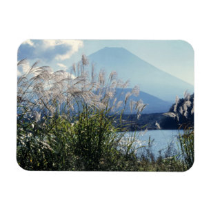 Japan, Honshu, Yamanashi Pref., Fuji-Hakone-Izu Magnet