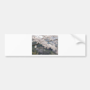 Japan Kumamoto Cherry Blossom Bumper Sticker