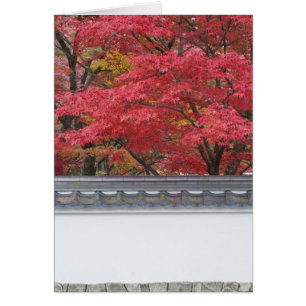 Japan, Kyoto, Autumn Colour at Eikando Temple