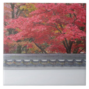 Japan, Kyoto, Autumn Colour at Eikando Temple Ceramic Tile