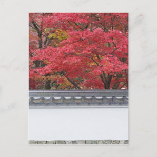 Japan, Kyoto, Autumn Colour at Eikando Temple Postcard