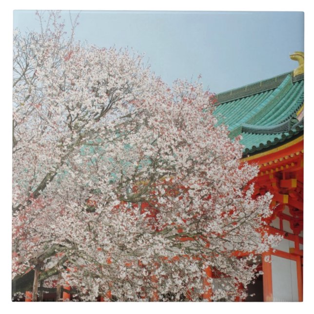 Japan, Kyoto. Cherry blossom of Shinto Ceramic Tile (Front)