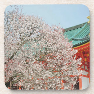 Japan, Kyoto. Cherry blossom of Shinto Coaster