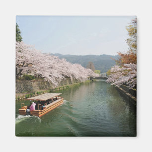 Japan, Kyoto. Flower viewing on the boat Magnet